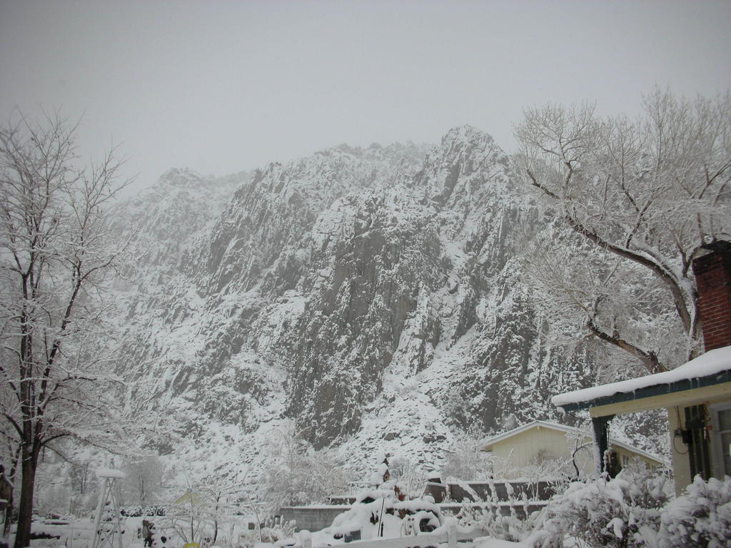Meadowcliff Lodge Coleville Εξωτερικό φωτογραφία